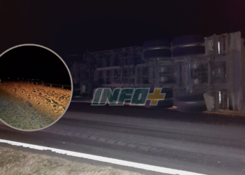 Totoras: un camión volcó y desparramó su carga en Ruta 91