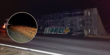 Totoras: un camión volcó y desparramó su carga en Ruta 91