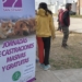 San Genaro creó el «Área de Salud Animal y Zoonosis» y designó funcionaria