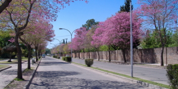 Un municipio de la región es el primero del país en pagar el medio aguinaldo