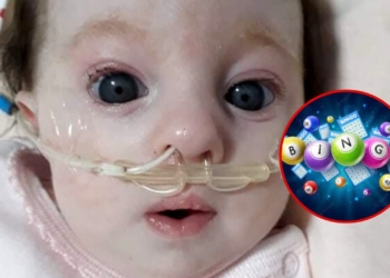 Proteccionistas realizarán un bingo solidario en Maciel