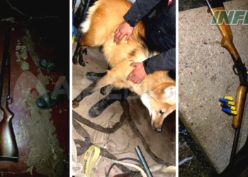 Rescataron un aguará guazú y detuvieron a dos cazadores en un campo de la región