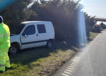 Un utilitario despistó en autopista y terminó contra los arbustos del cantero central