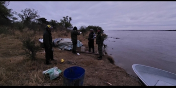 Los Pumas decomisaron 400 sábalos y un carpincho en islas de Gaboto, Monje y Barrancas
