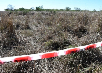 Hallaron sin vida a un nene en un campo entre Clason y San Genaro: investigan las causas