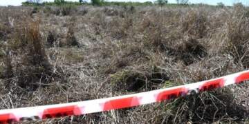 Hallaron sin vida a un nene en un campo entre Clason y San Genaro: investigan las causas