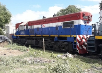 Una mujer murió al ser arrollada por un tren en Capitán Bermúdez