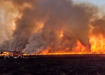 En 24 horas se registraron más de 30 focos de incendios en las islas