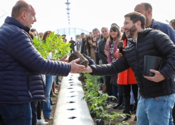 Santa Fe comenzó a cultivar cannabis medicional propio