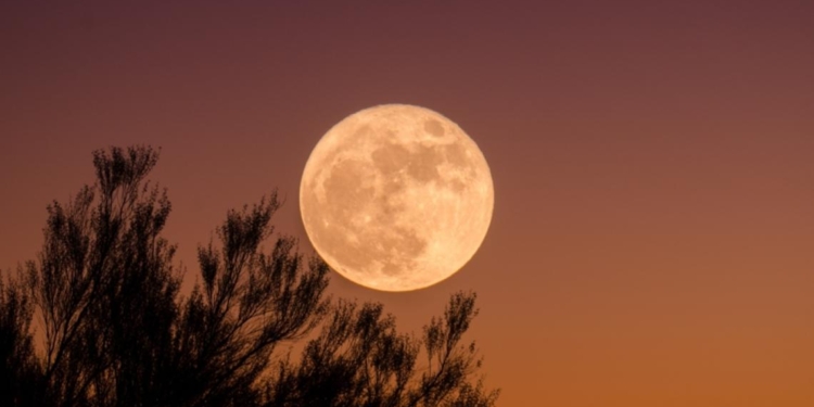 A mirar el cielo: la Superluna de Ciervo será visible este miércoles