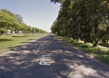 Oliveros: un camión chocó a un caballo que se encontraba suelto en Ruta 11