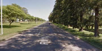 Oliveros: un camión chocó a un caballo que se encontraba suelto en Ruta 11