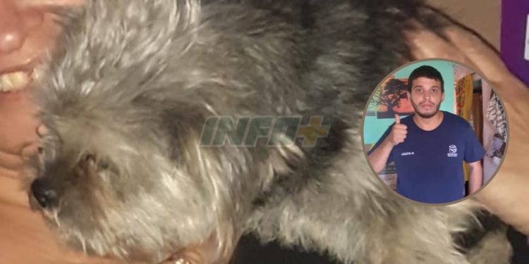 Rescataron a un perrita en Timbúes y se la robaron: “Mi hijo es autista y llora por la perra”