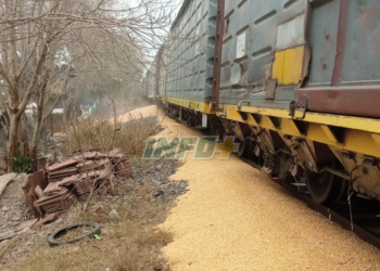 Le abrieron las boquillas a un tren y perdió parte de su carga en Barrancas