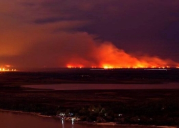 Incendio en las islas: Perotti solicitó la intervención de las fuerzas armadas