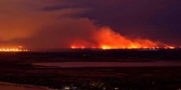 Incendio en las islas: Perotti solicitó la intervención de las fuerzas armadas