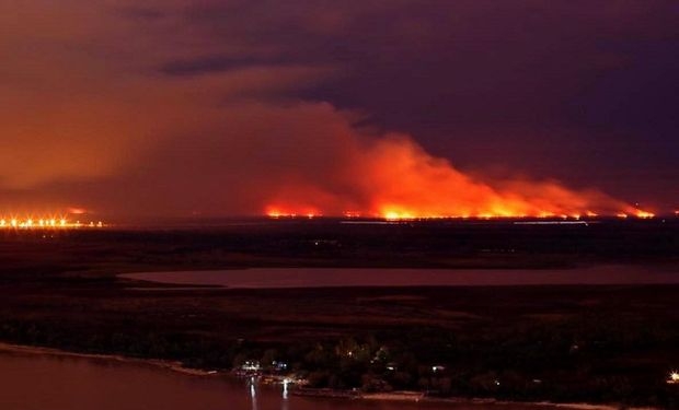 Incendio en las islas: Perotti solicitó la intervención de las fuerzas armadas