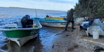Secuestraron cortes de carpinchos y pescados en Monje, Gaboto y Barrancas