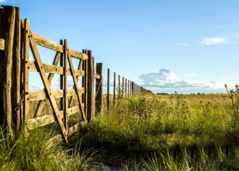 Damas de beneficencia de Maciel pondrá en arrendamiento su predio rural en Díaz