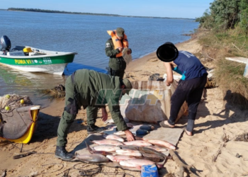 Sancionaron a infractores en Monje, Gaboto y Barrancas con cortes de yacarés, carpinchos y pescados