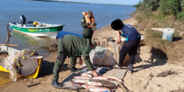 Sancionaron a infractores en Monje, Gaboto y Barrancas con cortes de yacarés, carpinchos y pescados