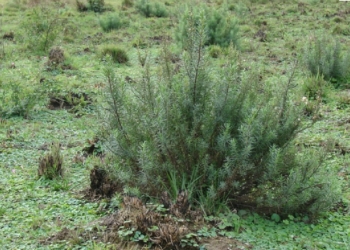 Clarke: declararon «Patrimonio Provincial» el espacio donde se libró la Batalla del Mío Mío