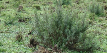 Clarke: declararon «Patrimonio Provincial» el espacio donde se libró la Batalla del Mío Mío