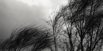 Alertan por vientos fuertes, descenso de temperatura y posibles lluvias para la región