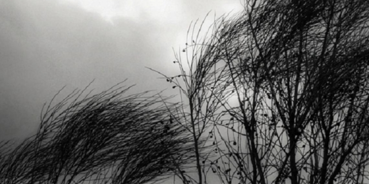 Alertan por vientos fuertes, descenso de temperatura y posibles lluvias para la región