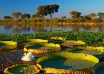 Promulgaron la ley que propone la ampliación del Parque Nacional Islas de Santa Fe