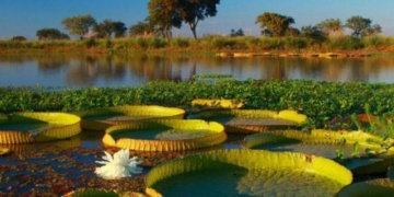 Promulgaron la ley que propone la ampliación del Parque Nacional Islas de Santa Fe