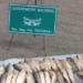 De Gaboto a Totoras: trasladaban pescados en el baúl y se los decomisó Gendarmería