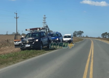 Allanamientos en Maciel y Gaboto: ofrecían carne de carpinchos y yacarés