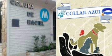 Maciel por lo animales: Collar azul y la Comuna trabajan en conjunto