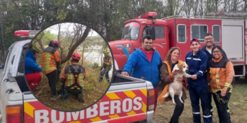 Andino: bomberos rescataron a un perrito en la barranca
