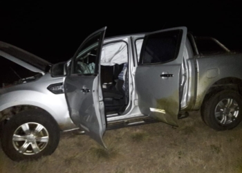 Monje: animales sueltos y choque entre dos camionetas sobre autopista