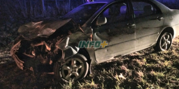 Un auto colisionó contra un animal vacuno sobre Ruta 34