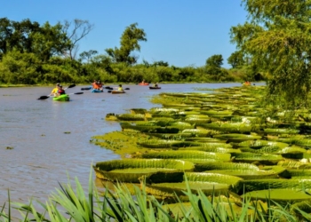 El Parque Nacional frente a Gaboto podrá ser visitado: camping, senderos y avistaje de fauna