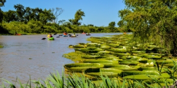 El Parque Nacional frente a Gaboto podrá ser visitado: camping, senderos y avistaje de fauna