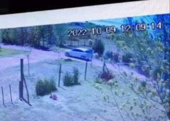 Volvieron a captar a los delincuentes que azotan a Timbúes y la región