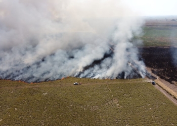 Un gran incendio consumió 200 hectáreas de campo en Carrizales