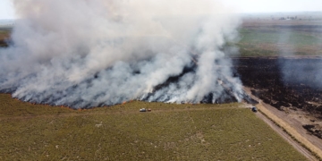 Un gran incendio consumió 200 hectáreas de campo en Carrizales