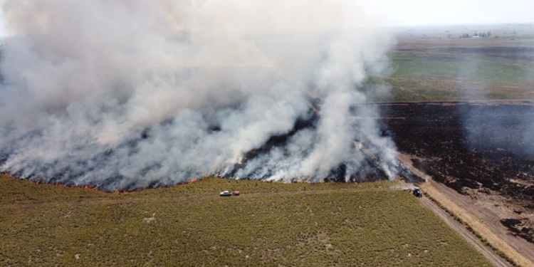 Un gran incendio consumió 200 hectáreas de campo en Carrizales