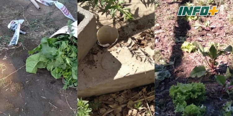 Robaron elementos y rompieron plantas en UTEP San Genaro: buscan testigos