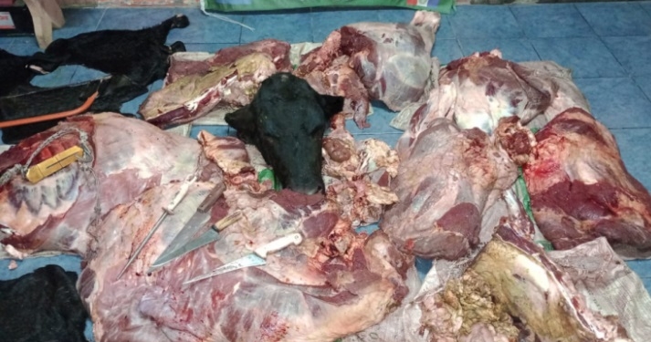 Cayeron dos cuatreros de la región y les decomisaron 500 kilos de carne