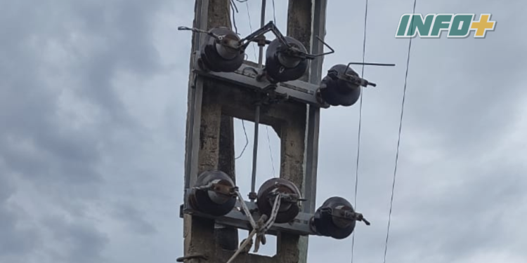 Una pareja fue a robar a un campo con su hijo de 3 años