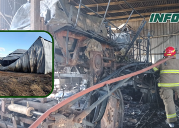 Impactante incendio de un galpón en Bernardo de Irigoyen con pérdidas totales