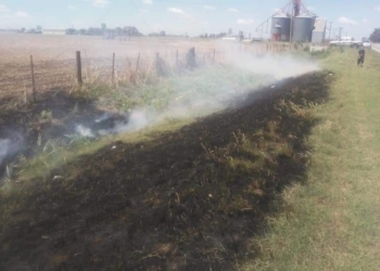 Andino: se cortó un cable de la EPE y provocó un incendio a la vera de la Ruta 91