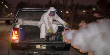 Calor y mosquitos: Timbúes avanza en la fumigación y prevención del dengue