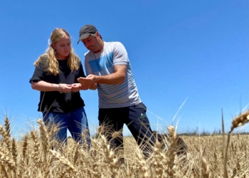 Tejeda pidió al gobierno nacional que asista urgentemente a los productores de la región